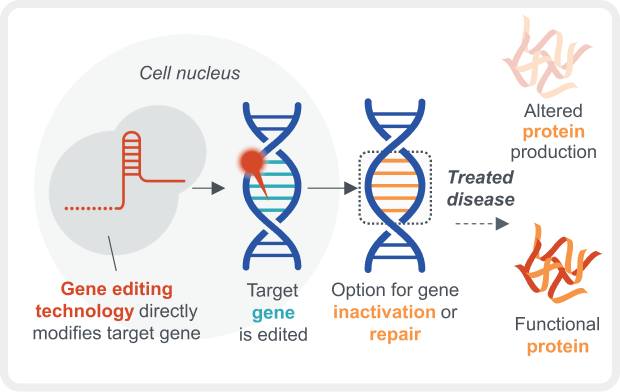 Examples of gene editing