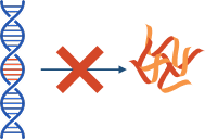 An illustration of a DNA stand after CRISPR therapy